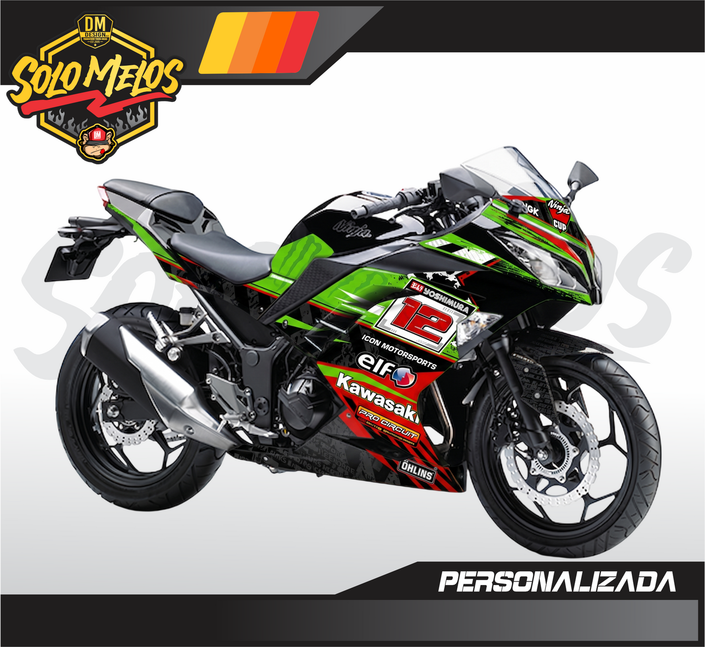 KAWASAKI NINJA 300