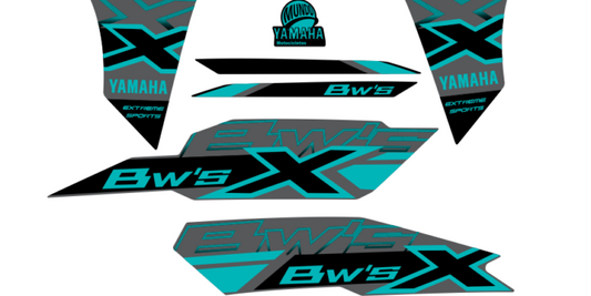 BWS FI