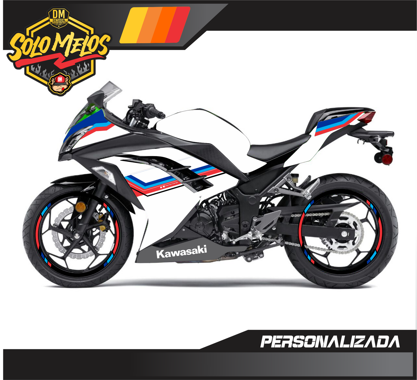 KAWASAKI NINJA 300